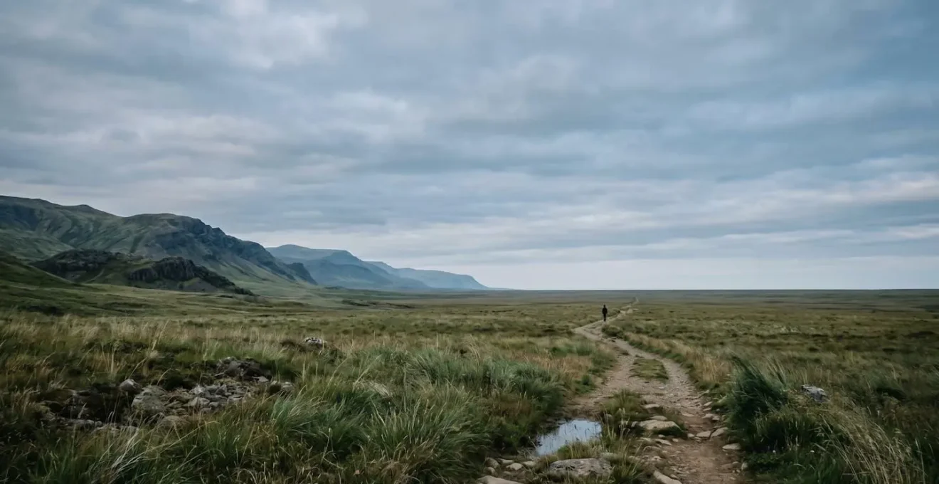 Vue panoramique d'un paysage naturel proche suggérant l'aventure accessible