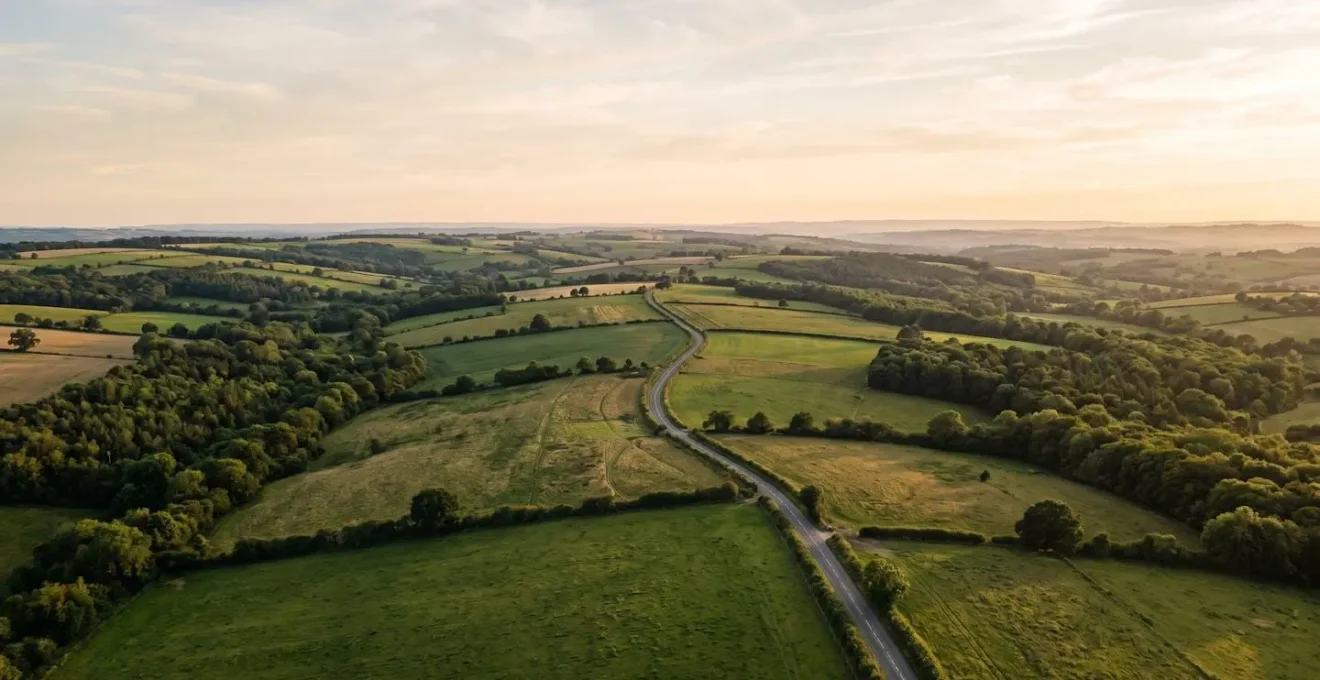Vue aerienne d'une route de campagne traversant un paysage naturel verdoyant